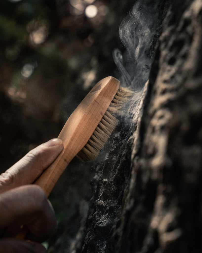 CLIMBING BRUSH